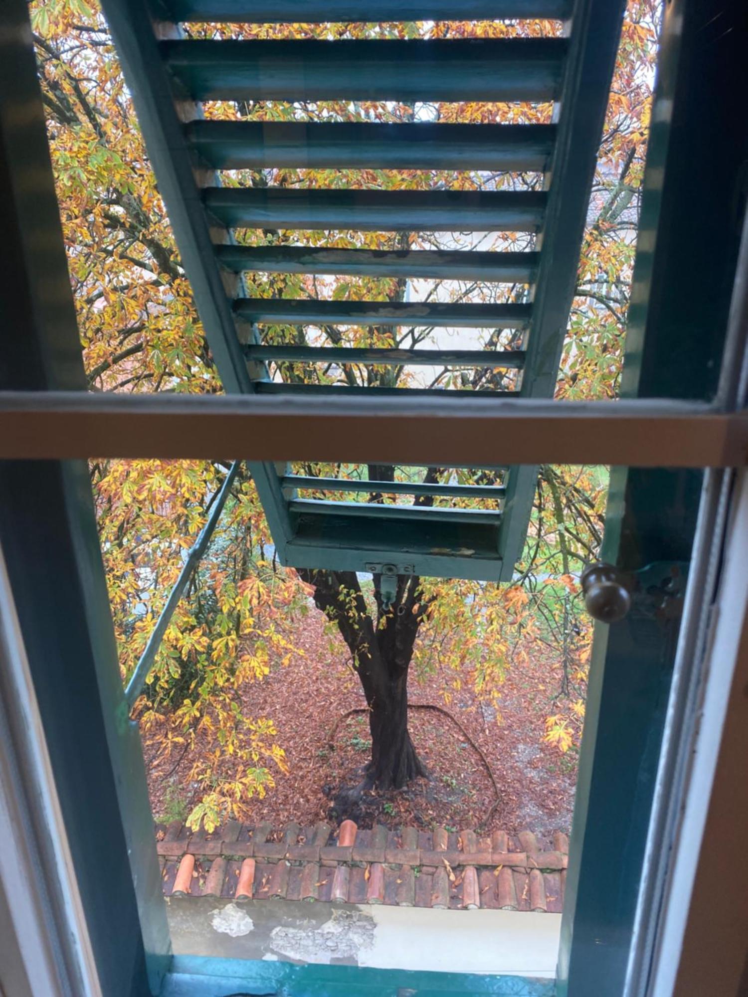 Casa Amorino Daire Lucca Dış mekan fotoğraf